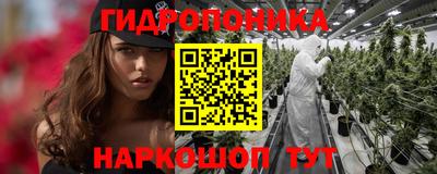 apvp Партизанск